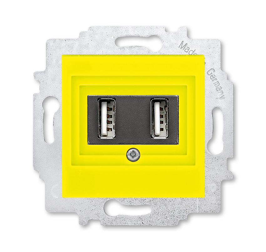 Изображение Зарядное устройство ABB EPJ Levit жёлтый / дымчатый чёрный USB зарядка двойная (арт.2CHH290040A6064)