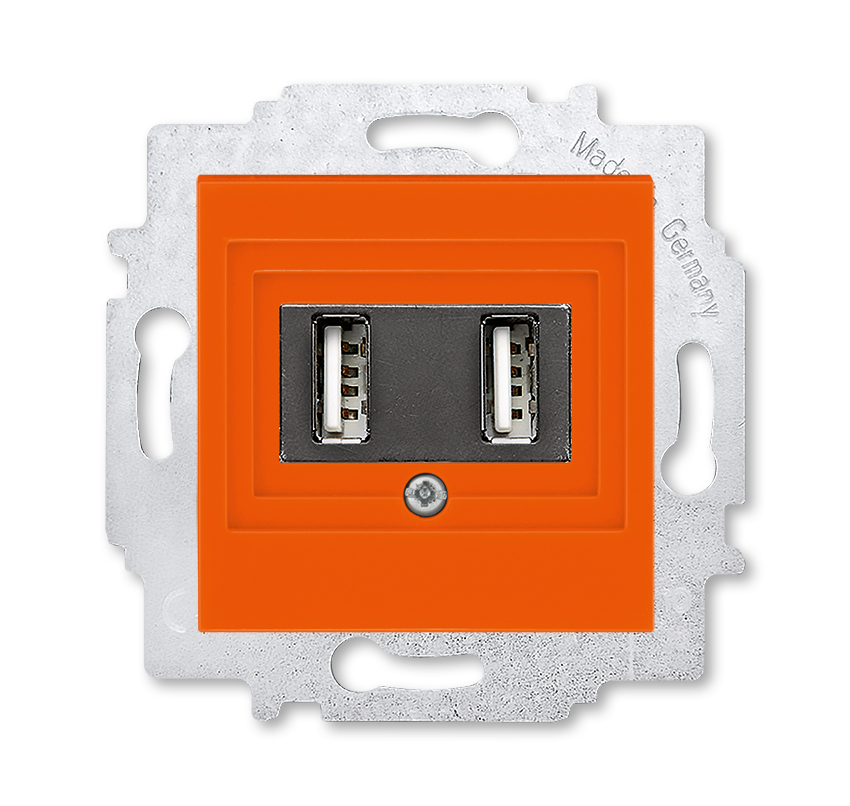 Изображение Зарядное устройство ABB EPJ Levit Оранжевый / дымчатый чёрный USB зарядка двойная (арт.2CHH290040A6066)
