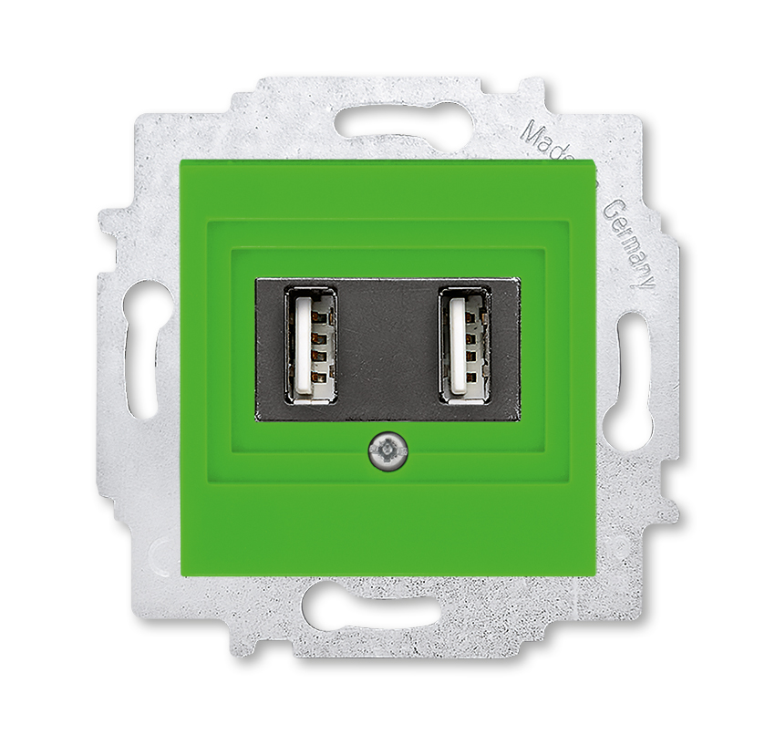 Изображение Зарядное устройство ABB EPJ Levit зелёный / дымчатый чёрный USB зарядка двойная, (арт.2CHH290040A6067)
